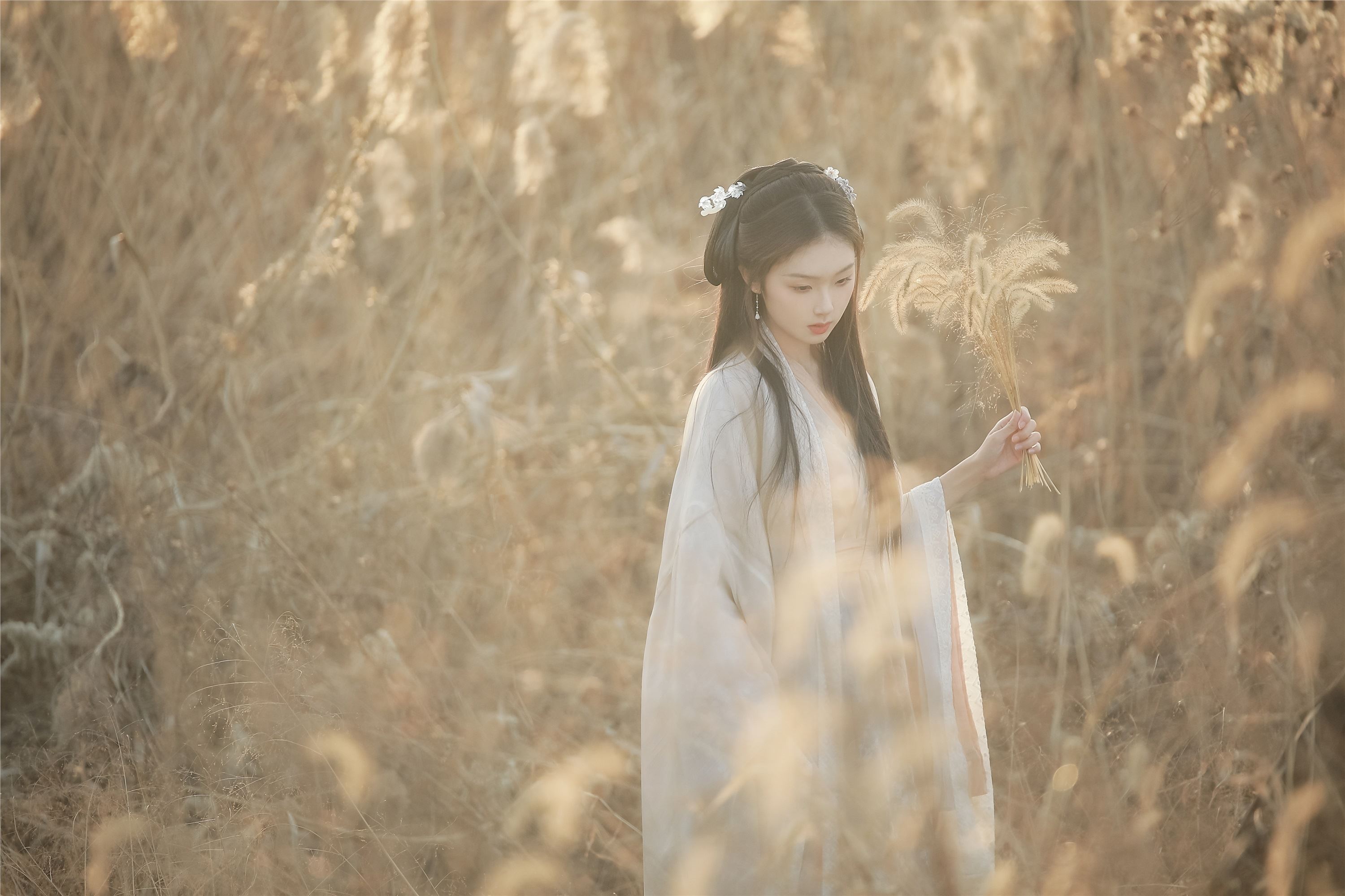 YITUYU艺图语 2025.01.28 叹秋 溱溱